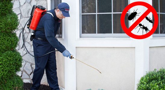 Silivri Dezenfeksiyon böcek ilaçlama ve haşere kontrolü — ilaclama-tr.com